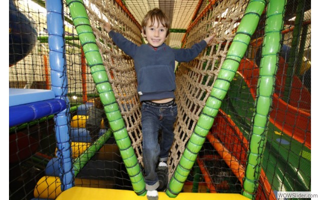 Ark rope bridge